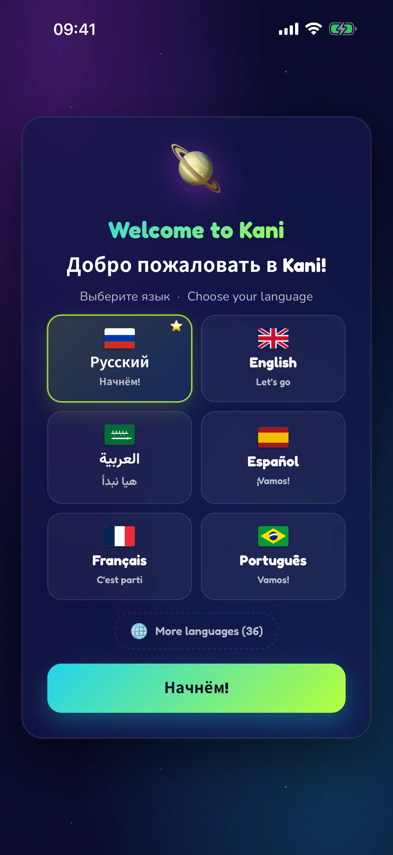 Первый запуск — знакомство с Kani.